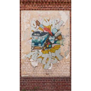 39240-1 Фототапет The Wall 2