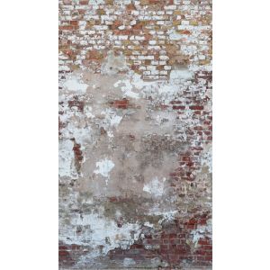 39250-1 Фототапет The Wall 2