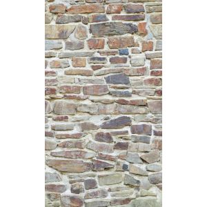 39251-1 Фототапет The Wall 2