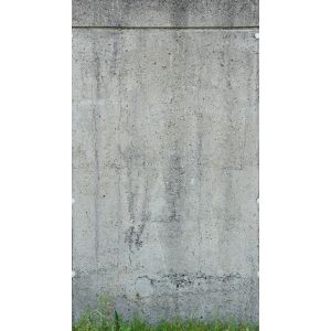 39255-1 Фототапет The Wall 2