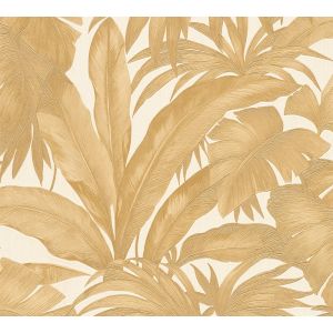 962404  Wallpaper Versace 5