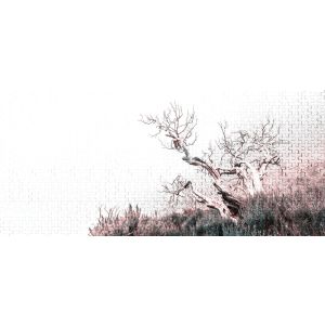 DD116900 Фототапет Death Tree 3