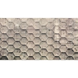 DD117040 Фототапет Honeycomb 2