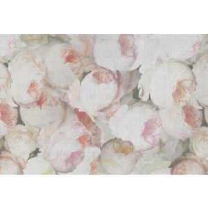 DD117805 Фототапет Flowers 1