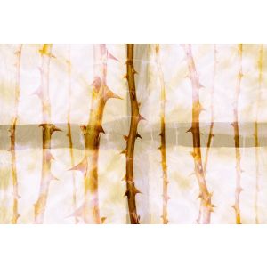 DD117850 Фототапет Thorn Art 1