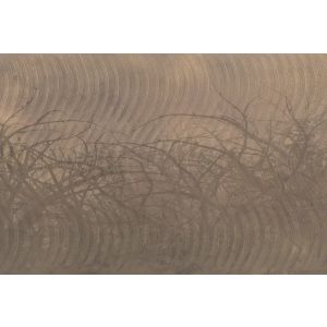 DD117920 Фототапет Thorn Hedge 1