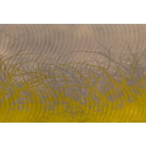 DD117925 Фототапет Thorn Hedge 2