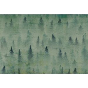 DD117980 Фототапет Coniferous 1