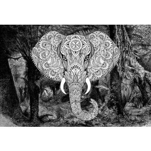 DD118120 Фототапет Elephant Head 1