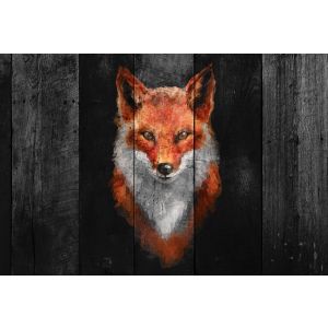 DD118145 Фототапет Polygon Fox 2