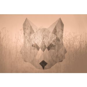 DD118165 Фототапет Fox Graphic 2
