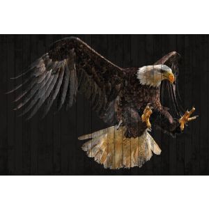 DD118185 Фототапет Polygon Eagle 1