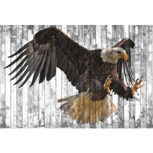 DD118190 Фототапет Polygon Eagle 2