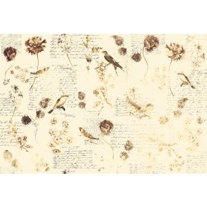 DD118230 Фототапет Bird Poesie 3