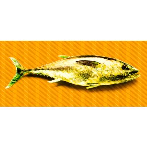 DD118250 Фототапет Tuna Graphic 1