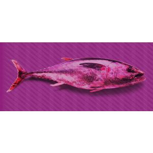 DD118260 Фототапет Tuna Graphic 3