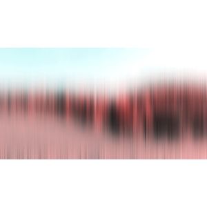 DD118425 Фототапет Different Tree Row3