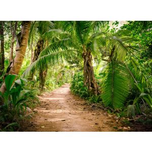118634 Фототапет  Palm Walk