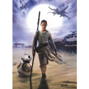 4-448 Фототапет Star Wars Rey
