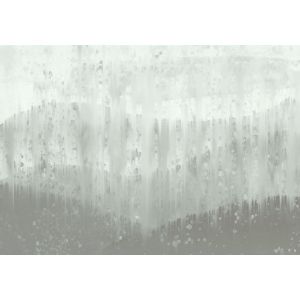 BL4-055 Photomural Rimjhim