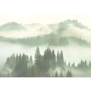 BL4-063 Photomural Fruhtau