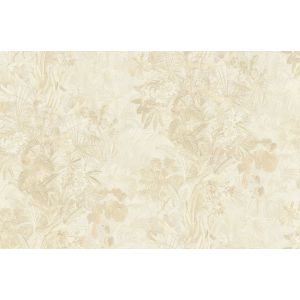 29045 Wallpaper Blumarine 5