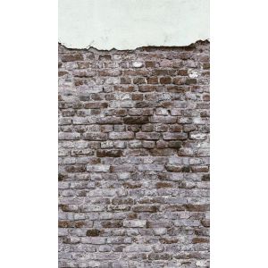 38333-1 Фототапет The Wall