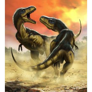 IANGX5-006 Фототапет Albertosauruses Fight
