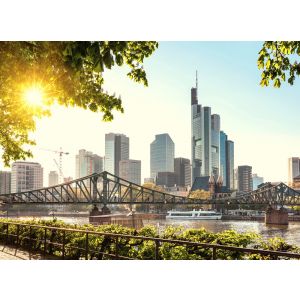 118690 Фототапет Frankfurt City