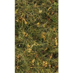 V3-748 PHOTOMURAL 150/250 СМ