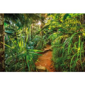8-989 Фототапет Jungle Trail