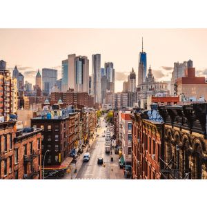 118676 Фототапет New York Views 2