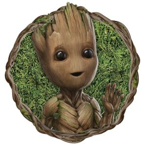 DD1-081 Photomural Into Wonderland