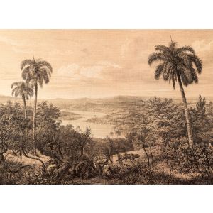 DD123504 Фототапет DesignWalls 2