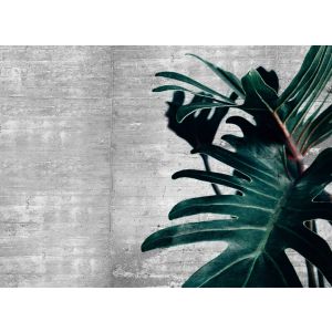 DD123516 Фототапет DesignWalls 2