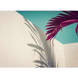 DD123518 Фототапет DesignWalls 2