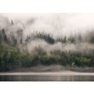 DD123522 Фототапет DesignWalls 2