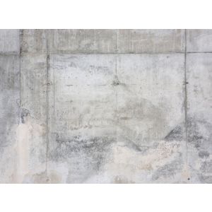 DD123630 Фототапет DesignWalls 2