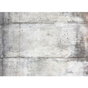 DD123634 Фототапет DesignWalls 2