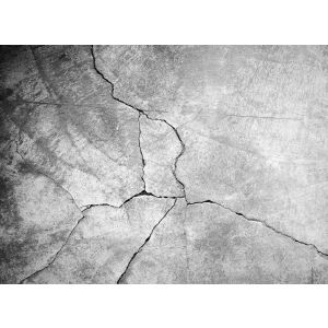 DD123640 Фототапет DesignWalls 2