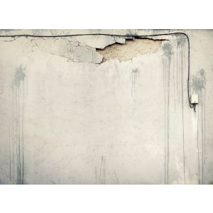 DD123646 Фототапет DesignWalls 2