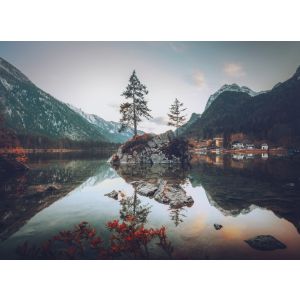 DD123722 Фототапет DesignWalls 2