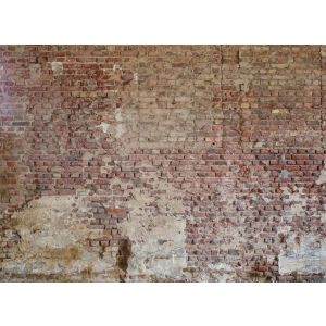 DD123818 Фототапет DesignWalls 2