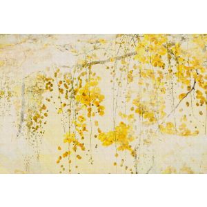 DD127749 Фототапет Taiyo