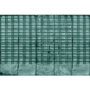 DD127913 Фототапет Bangalore