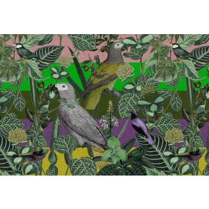 DD127949 Фототапет Amazona 2