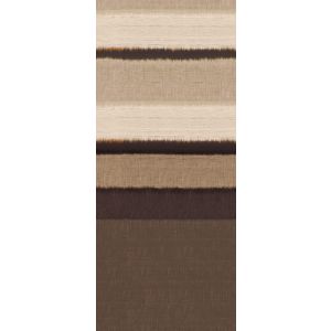 DG3STR101 Photomural Stripe