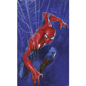 DX3-210 Фототапет Marvel Spider-Man Spider Web