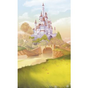 DX3-227 Фототапет Disney Princess Belle Castle River