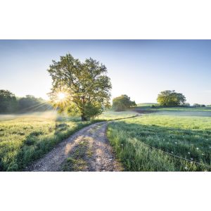 PHOTOMURAL STEFAN HEFELE 400/250 CM